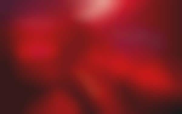 Red-Forward Hospitality Spaces