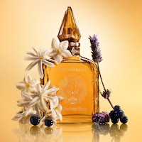 Confidence Booster Perfumes