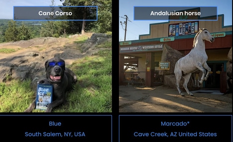 Animal Casting Directories