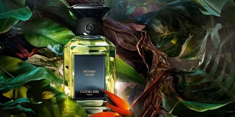 Vetiver-Inspired High-End Perfumes