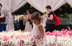 Temporary Public Art Installations