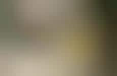 Fashion-Forward Archiving Initiatives