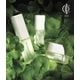 Skincare-Focused Plant Varieties Image 1