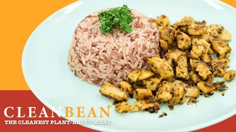 Minimal Ingredient Meat Alternatives