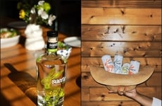 Affordable Additive-Free Tequilas