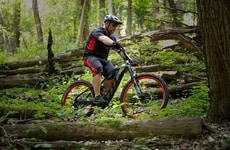 Elevated Electric Bikes