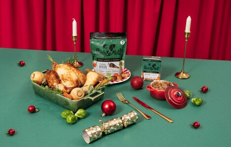 Festively Themed Pet Products