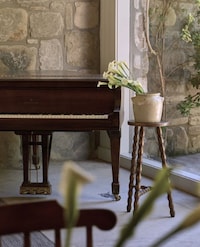 Debut Interior Furnishings Lines Image 6