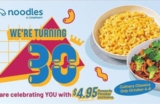 Throwback Noodle Bowl Campaigns