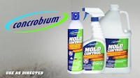 Bleach-Free Mold-Targeting Sprays Image 1