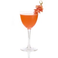 Premium Soju Spirits Image 3