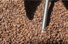 Tailored Coffee Subscription Sets