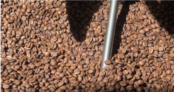 Tailored Coffee Subscription Sets