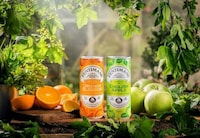 Botanical Mocktail-Like Beverages