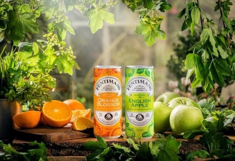 Botanical Mocktail-Like Beverages