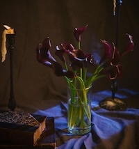 Tarot-Inspired Floral Bouquets Image 2