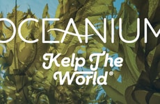 Sustainably Farmed Seaweed Ingredients