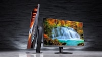 Professional Monitor Lineups