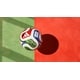 Tricolored Tournament Soccer Balls Image 1