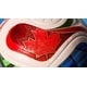 Tricolored Tournament Soccer Balls Image 3
