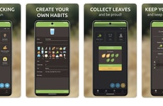Gamified Habit Trackers