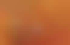 Album-Inspired False Lashes