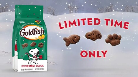 Minty Cocoa Collaboration Snacks
