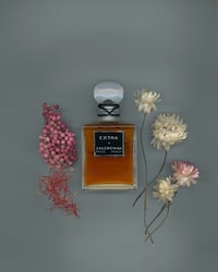 Boundary-Blurring Perfume Capsules Image 2