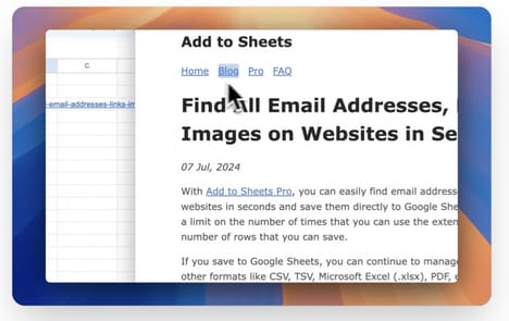 Web Data Captures