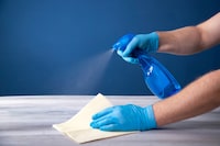 Mold-Avoiding Painting Coatings