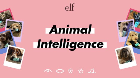 Pet-Powered Beauty Campaigns