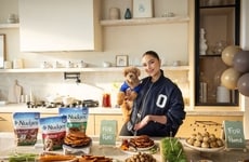 Game-Day-Ready Dog Campaigns