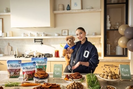 Game-Day-Ready Dog Campaigns