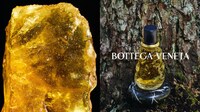 Venetian Fragrance Trifectas Image 2
