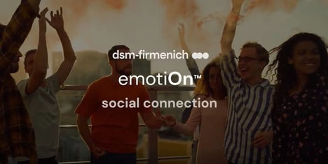 Social Connection Fragrances