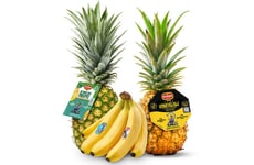 Film-Celebrating Fruit Branding