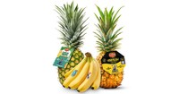 Film-Celebrating Fruit Branding Image 1