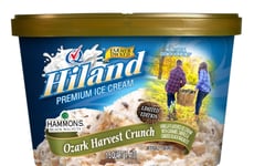 Nutty Autumnal Ice Creams