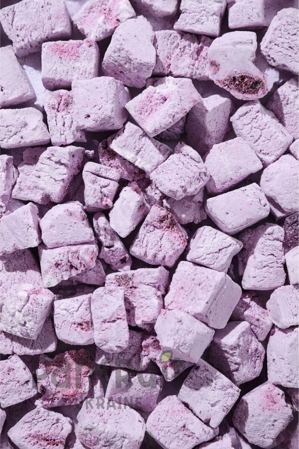 Freeze-Dried Ice Cream Cubes