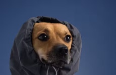 Expanded Pet Apparel Capsule