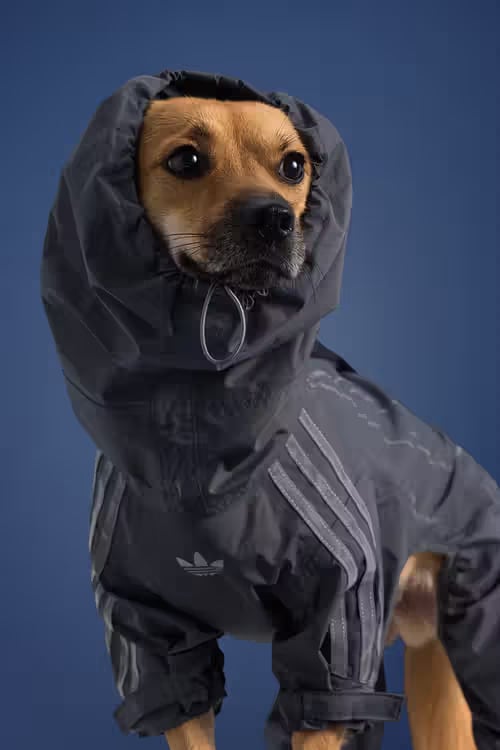 Expanded Pet Apparel Capsule