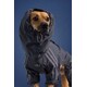 Expanded Pet Apparel Capsule Image 1