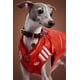 Expanded Pet Apparel Capsule Image 2