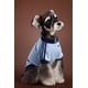 Expanded Pet Apparel Capsule Image 4
