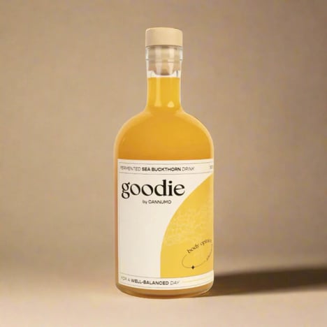 Fermented Sea Buckthorn Beverages
