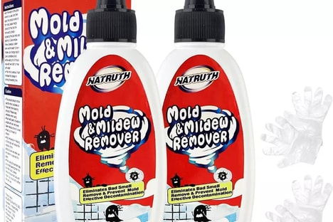 Robust Mold Remover Products