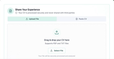 AI Resume Analyzers
