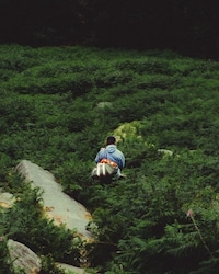 Climbing-Inspired Capsule