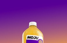 Functional Flavorful Immunity Shots