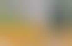 Workplace Comedy Meals